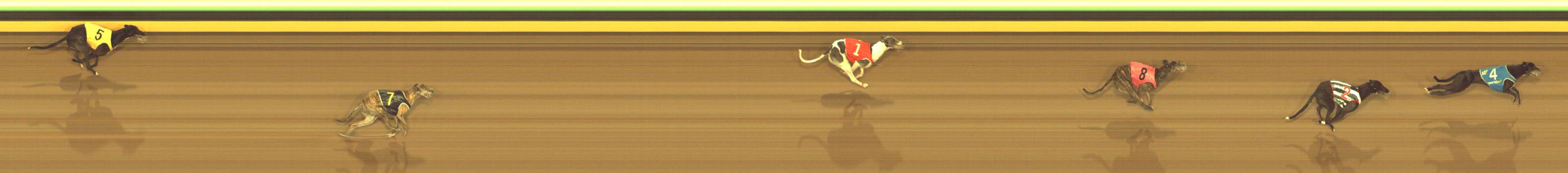 Race result finish photo